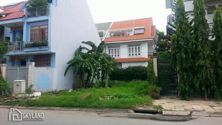 Trong hoàn cảnh thị trường khan hiếm sản phẩm, nhiều nhà đầu tư đã chọn hướng đi riêng để kiếm lời là các thị trường ngách. Ảnh minh họa